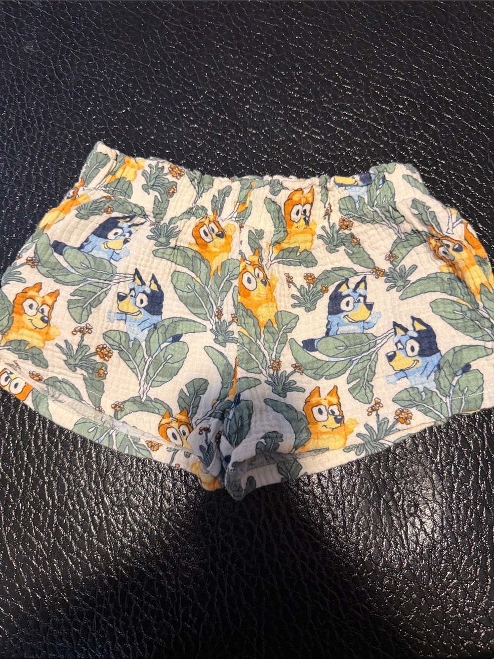 Bluey Toddler Shorts with Palm Leaf Pattern